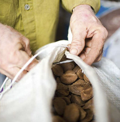 Retrato das mãos de um homem fechando um saco de pano branco, cheio de frutos.