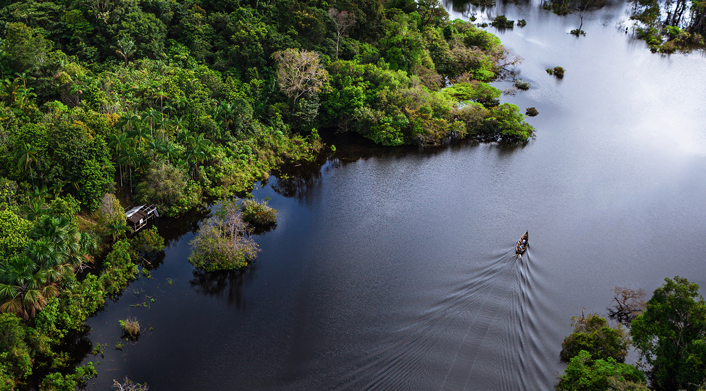 Foto da beira de um rio, onde o rio é cercado por plantas e existe um barco pequeno navegando.