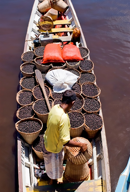 Barco com diversos cestos com a fruta açaí. Os cestos estão sendo arrumados por um homem de blusa amarela.