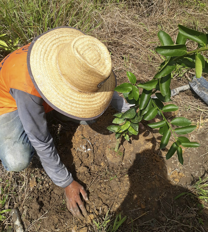 Retrato de um homem com um chapéu de palha mexendo na terra, plantando.