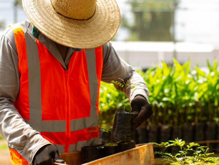 Retrato de um homem que usa um chapéu de palha e segura uma muda de planta. Ao redor dele existem várias mudas de plantas.