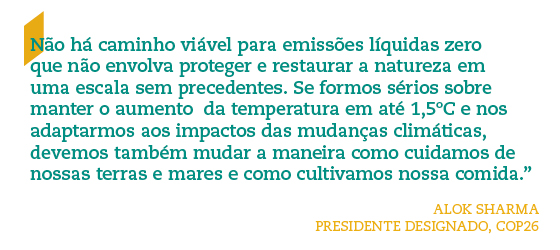 Fundo_Vale_Newsletter_003_Frase