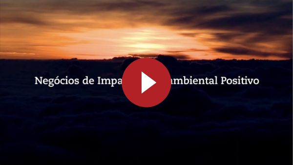 Negócios de Impacto Socioambiental Positivo