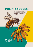 Polinizadores: os pequenos que colaboram com a produção de frutas e sementes na agricultura