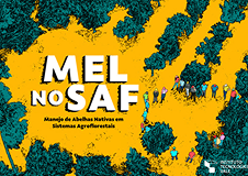 Mel no SAF: Manejo de abelhas nativas em sistemas agroflorestais